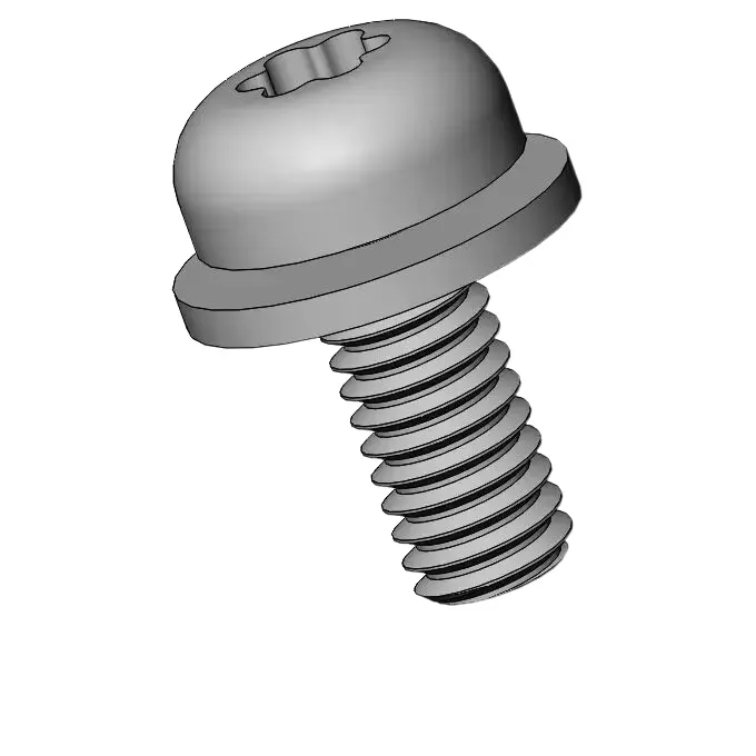 M2.5 x 6mm Pan Head Torx SEMS Screws with Flat Washer SUS304 Stainless Steel Inox