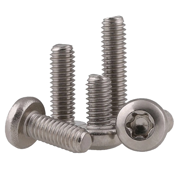 M2.5 x 9 mm  Pan Head Torx Machine Screw SUS304 Stainless Steel Inox ISO 14583
