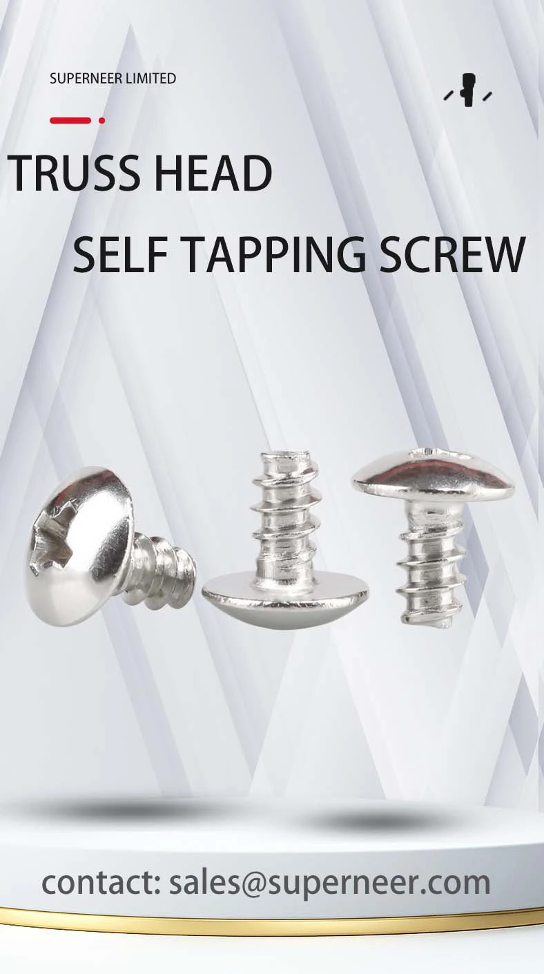 2.5 x 10mm Phillips Truss Head Self Tapping Screws SUS304 Stainless Steel