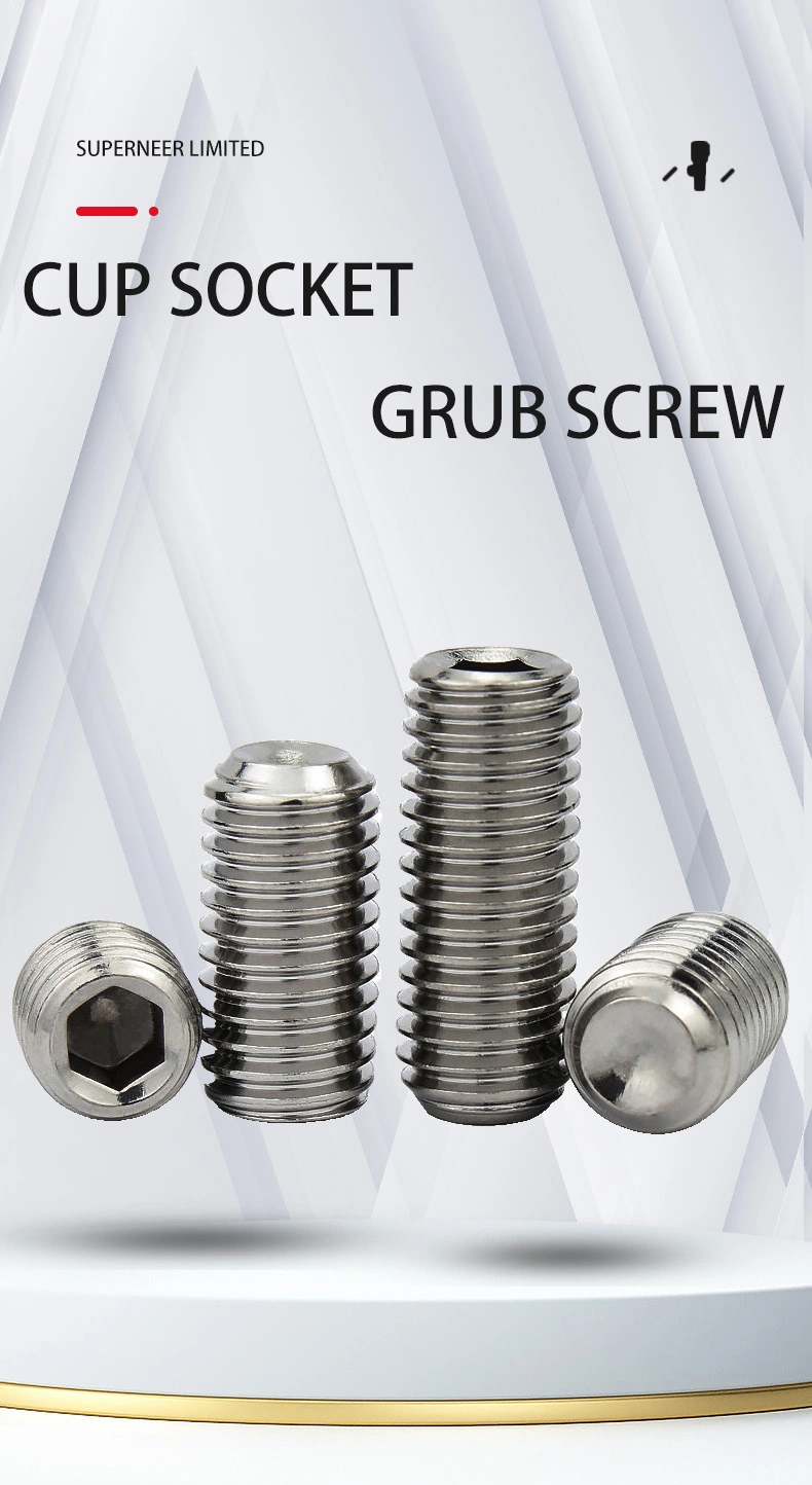 M3 x 10mm Socket Cup Point Set Screws SUS304 Stainless Steel Inox DIN916