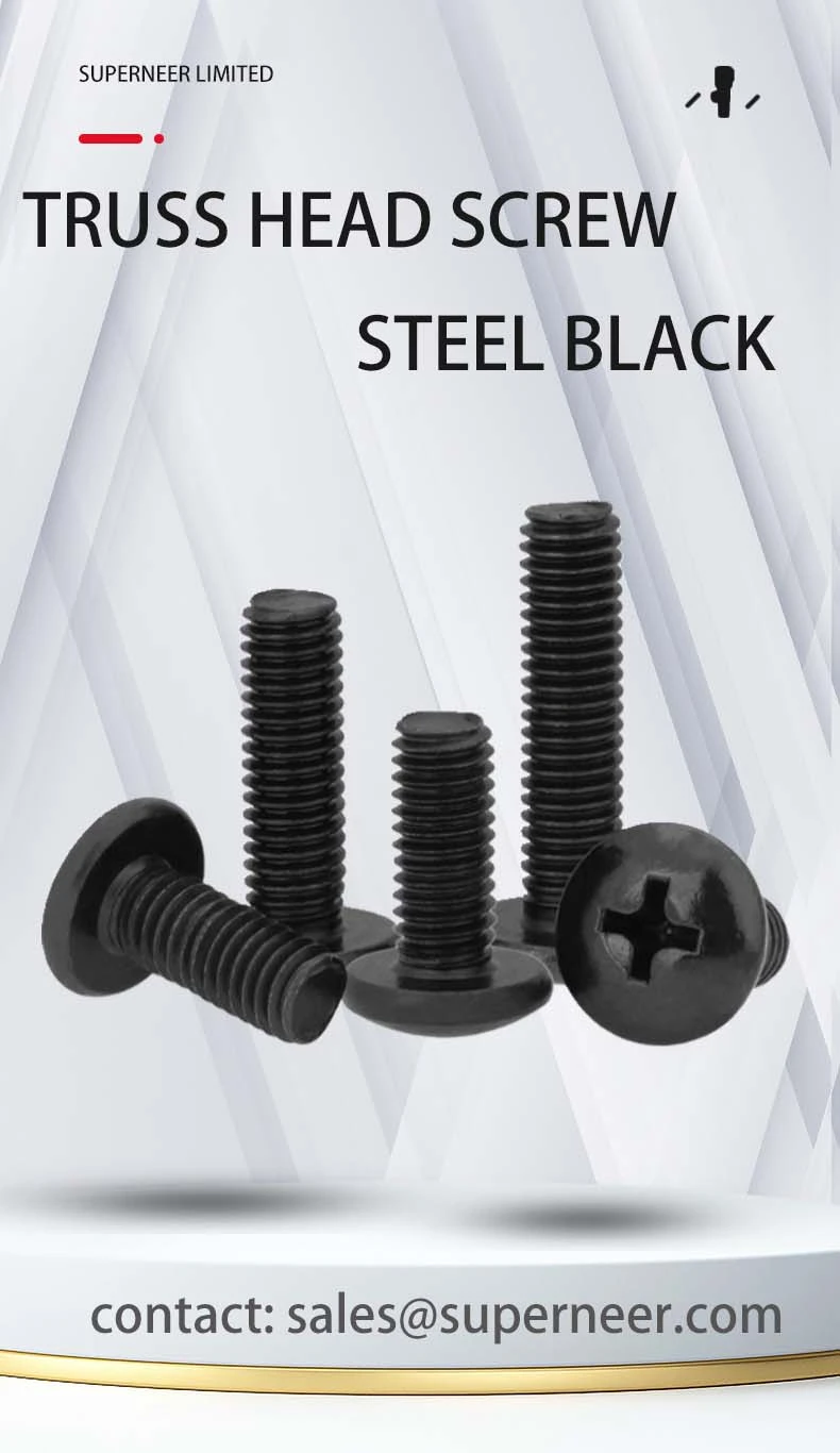 M5 x 12 mm Truss Head Phillips Machine Screw Steel Black JIS B 1111