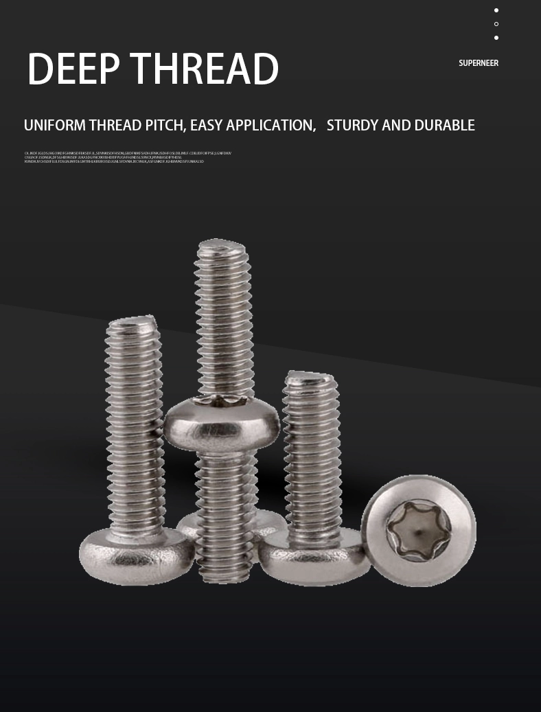 8-32 x 5/16" Pan Head Torx Machine Screw SUS304 Stainless Steel Inox