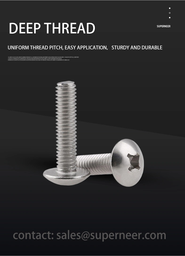 M2.5 x 9 mm  Truss Head Phillips Machine Screw SUS304 Stainless Steel Inox JIS B 1111