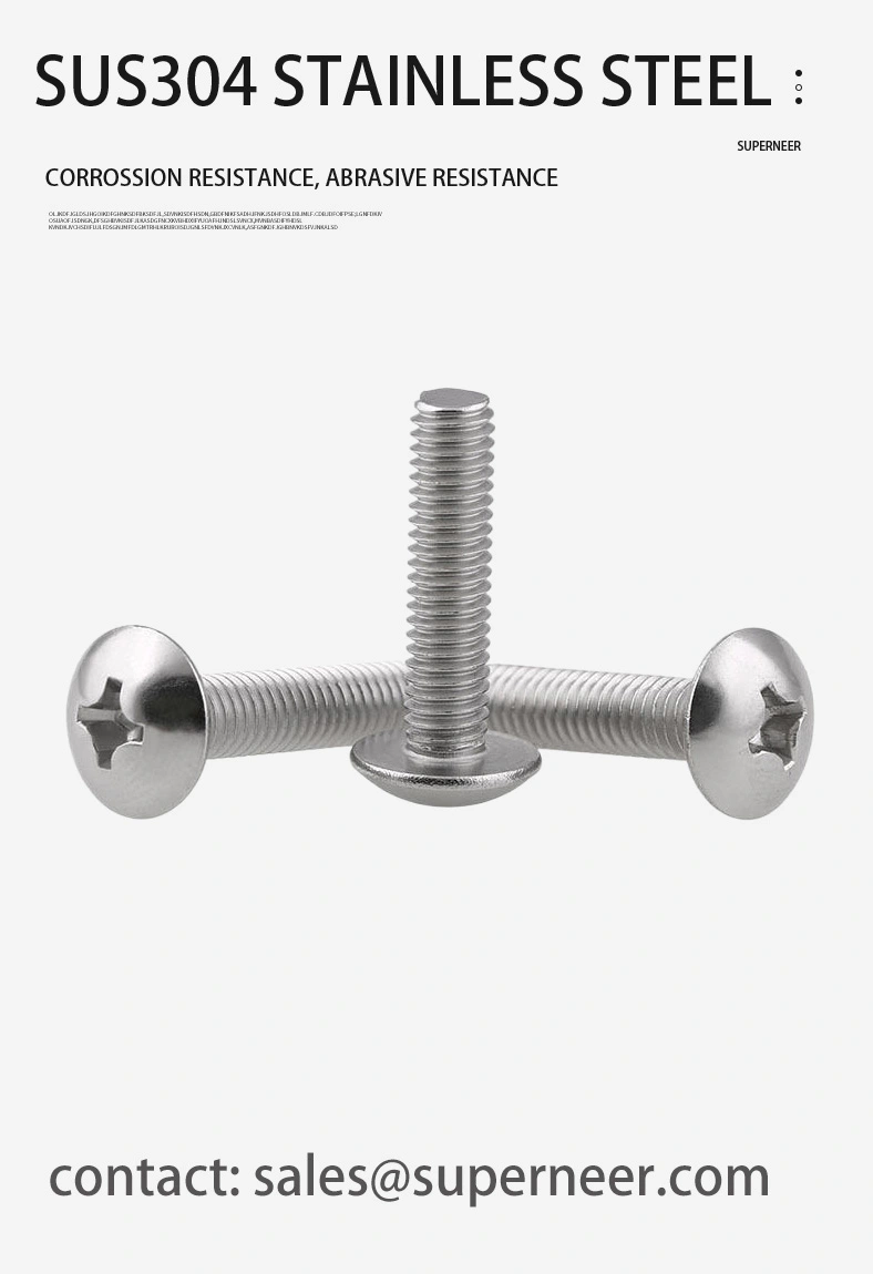 M2.5 x 9 mm  Truss Head Phillips Machine Screw SUS304 Stainless Steel Inox JIS B 1111