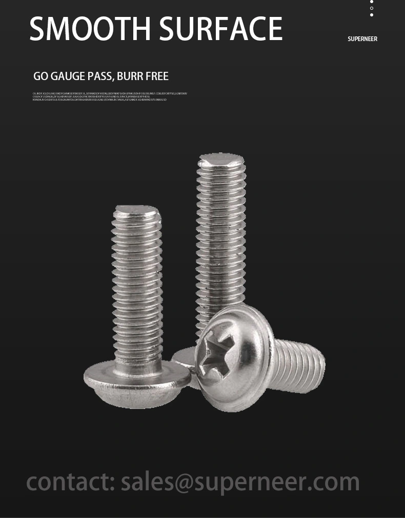 M3 x 4 mm Pan Washer Head Phillips Machine Screws SUS304 Stainless Steel Inox DIN967