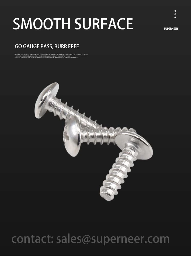 2.5 x 10mm Phillips Truss Head Self Tapping Screws SUS304 Stainless Steel