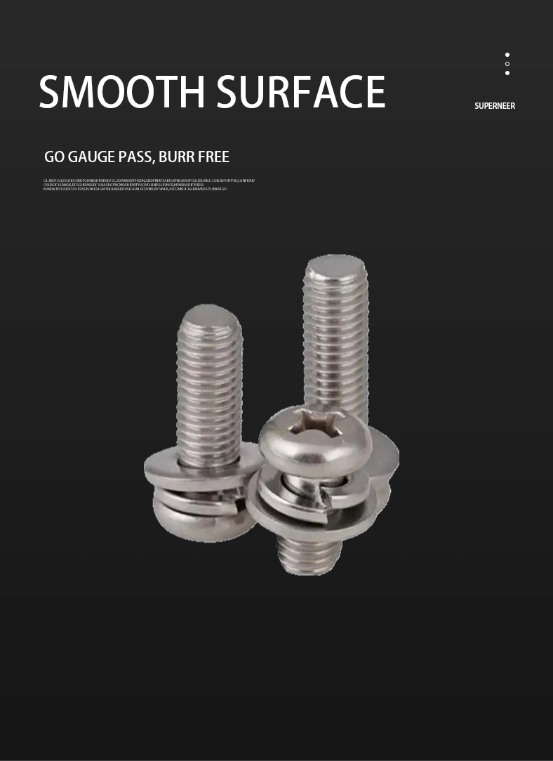 M6 x 22mm Pan Head Phillips SEMS Screws with Spring and Flat Washer SUS304 Stainless Steel Inox