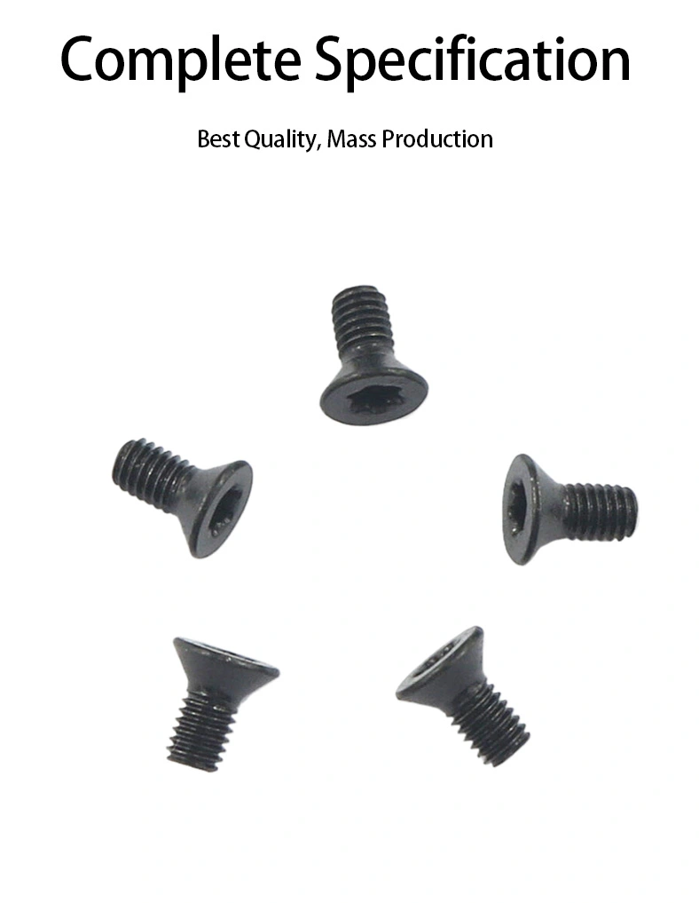 M3 x 6 mm Flat Head 82° Torx Machine Screw Steel Black