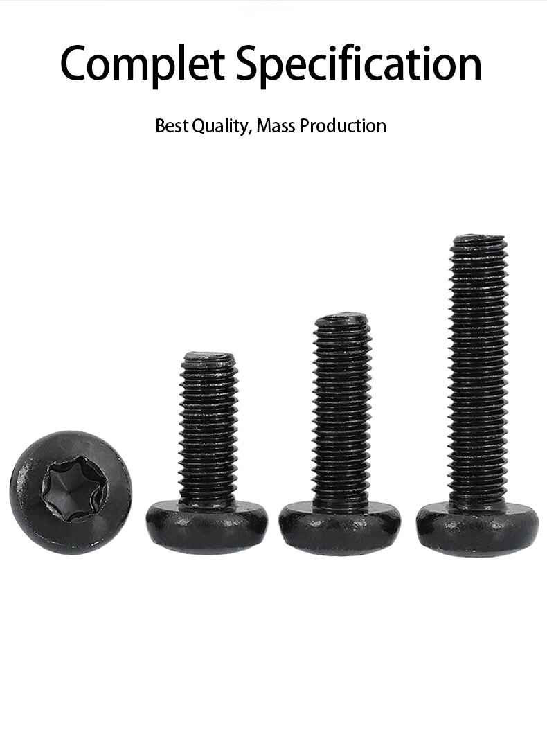 M6 x 12 mm Pan Head Torx Machine Screw Steel Black ISO 14583