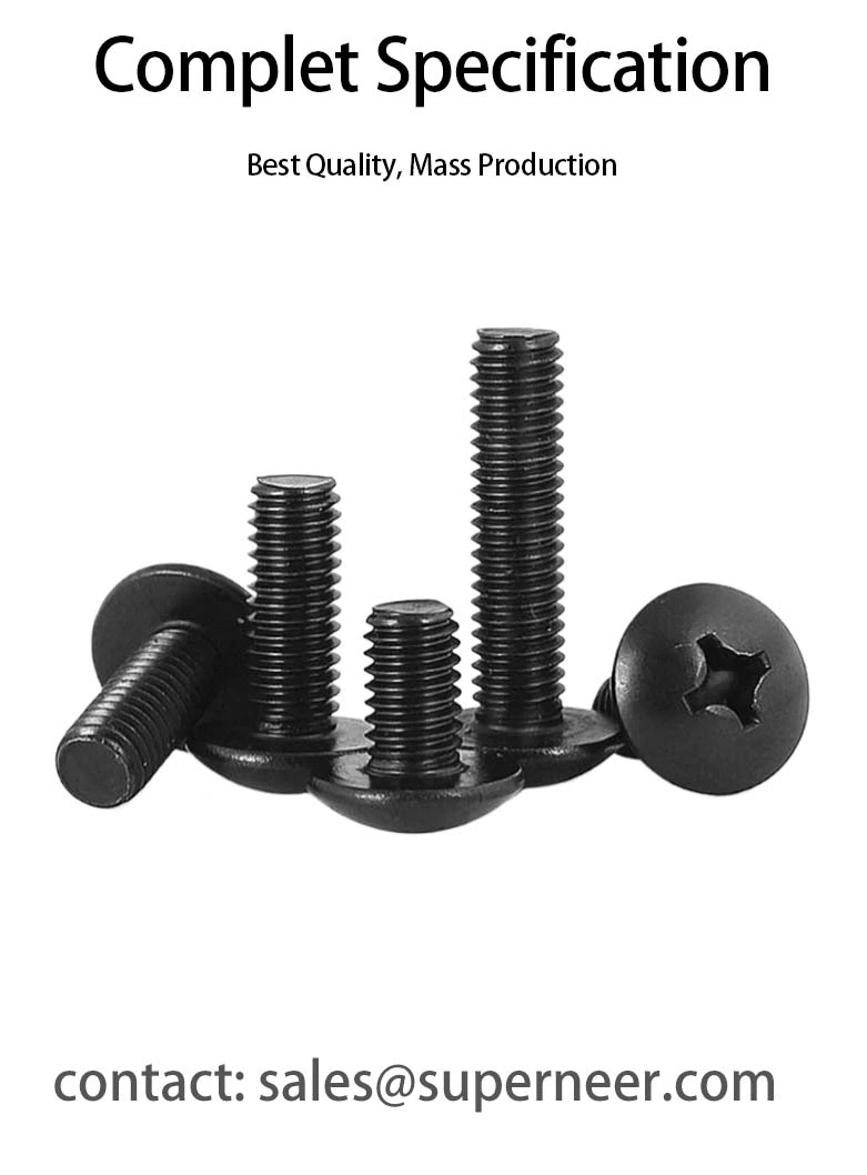 M5 x 12 mm Truss Head Phillips Machine Screw Steel Black JIS B 1111