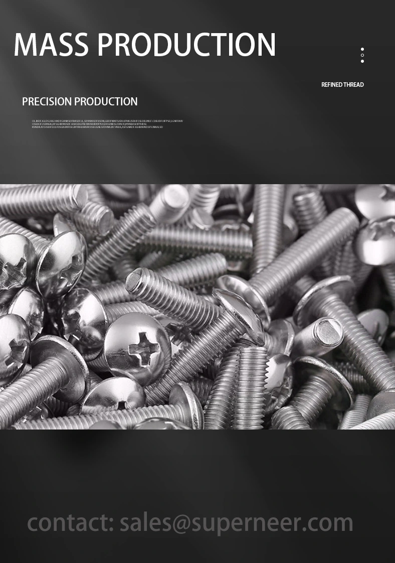 M2.5 x 9 mm  Truss Head Phillips Machine Screw SUS304 Stainless Steel Inox JIS B 1111