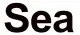 screw manufacturer
